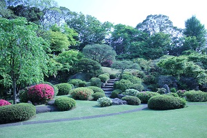 garden.JPG