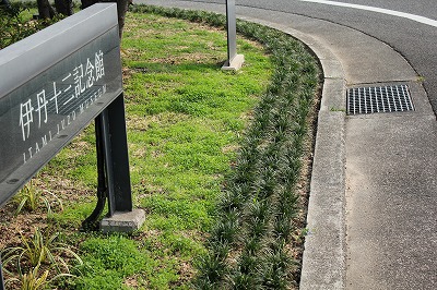 0707-4.jpg