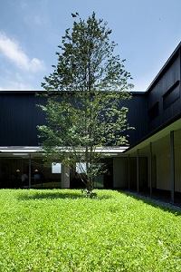 2007-1.jpg