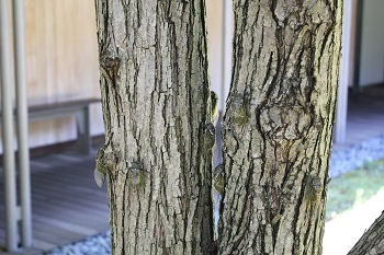 20250728-2.JPG