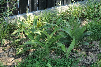 20250804-o.jpg