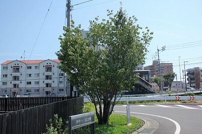 20250804-y.jpg