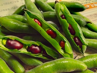 20260504_1.jpg