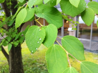 20260608_1.jpg
