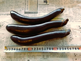 20260907_2.jpg