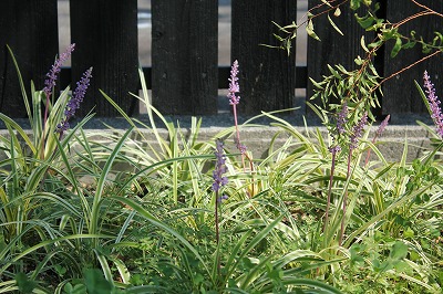 250901-3.jpg