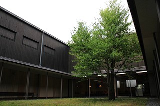 s-IMG_7496.jpg