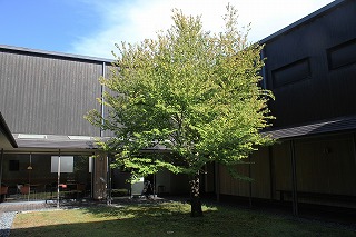 s-IMG_7726.jpg