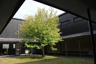 s-IMG_8769.jpg